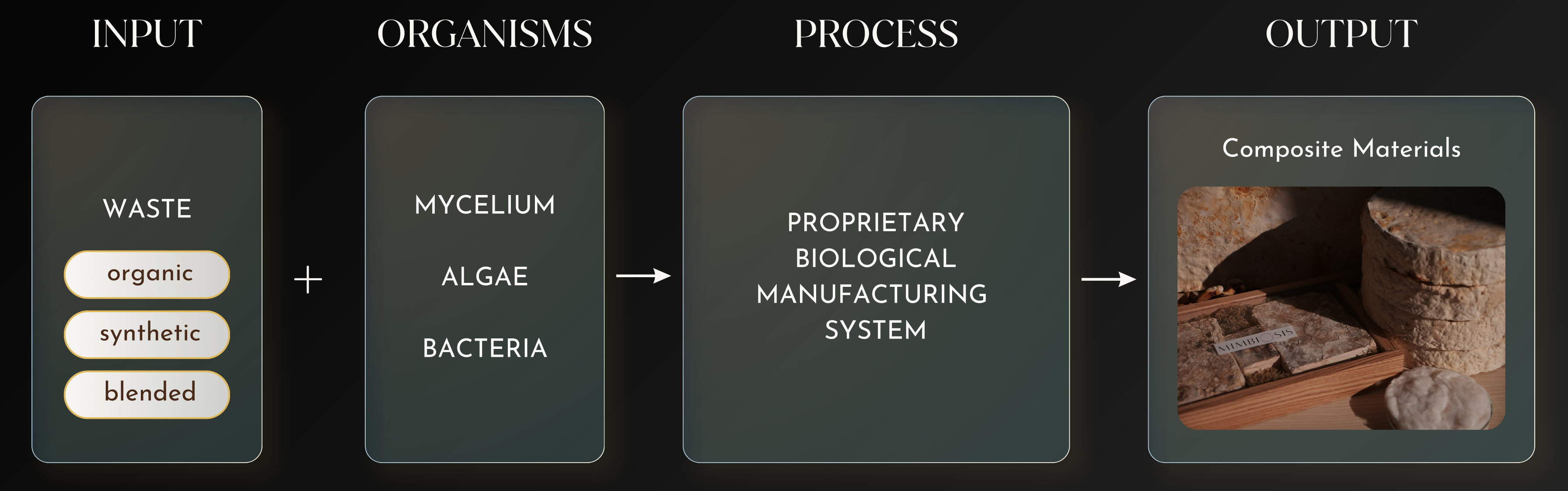 Mycelium production process diagram